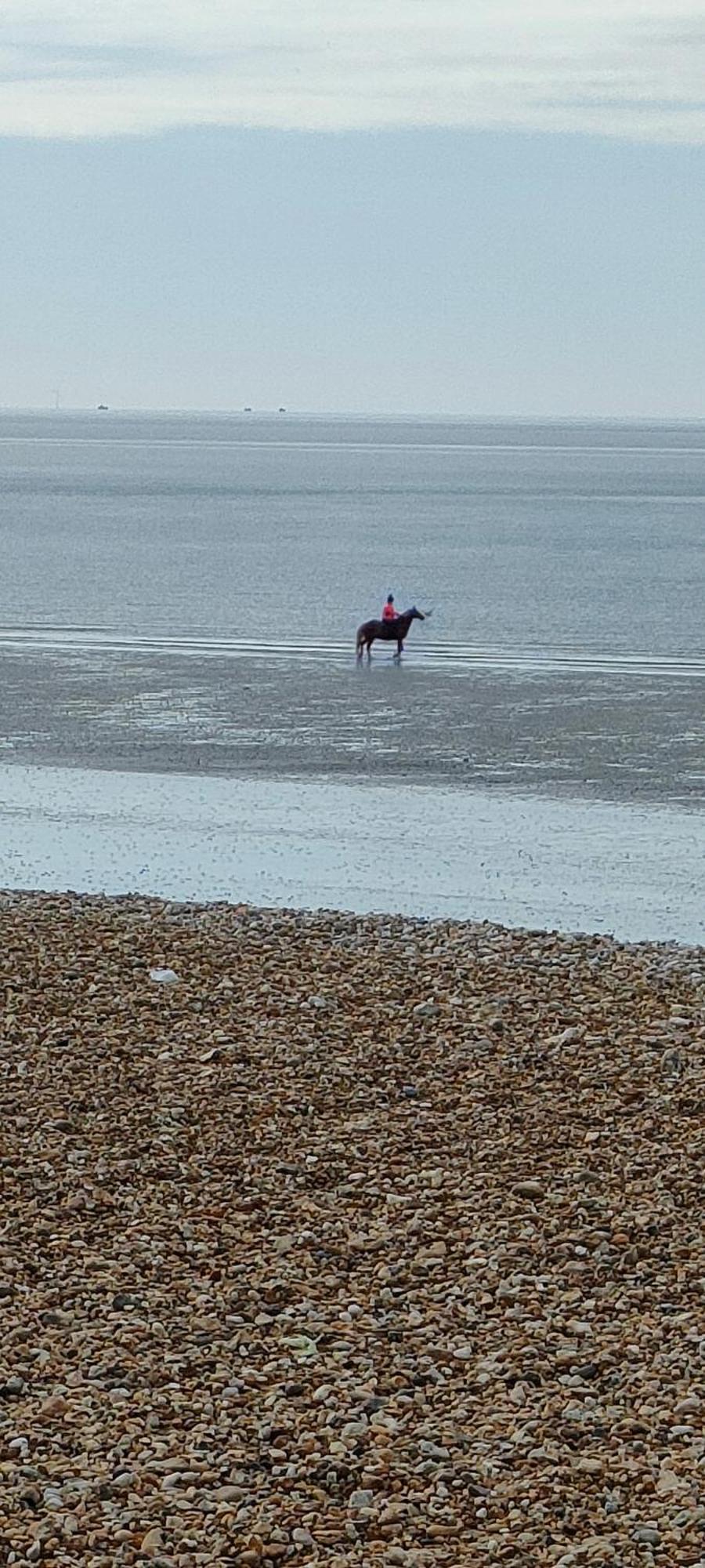 Guest 50m From The * Bognor Regis